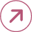 Expand Icon
